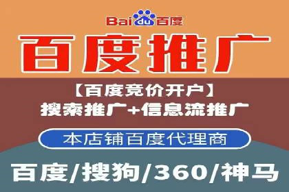 SEM广告投放案例：提升网站流量与转化